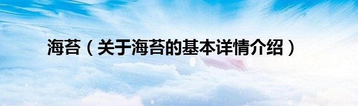 海苔（关于海苔的基本详情介绍）
