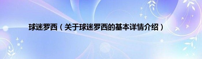 球迷罗西(关于球迷罗西的基本详情介绍)