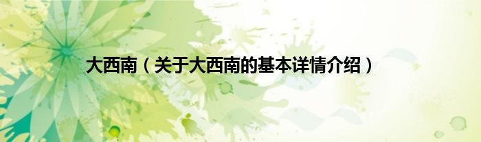 大西南(关于大西南的基本详情介绍)
