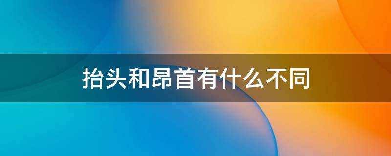 抬头和昂首有什么不同