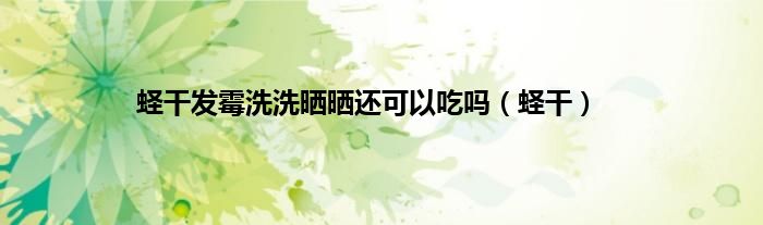 蛏干发霉洗洗晒晒还可以吃吗（蛏干）