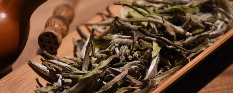 茶叶可以用烤箱烘干吗