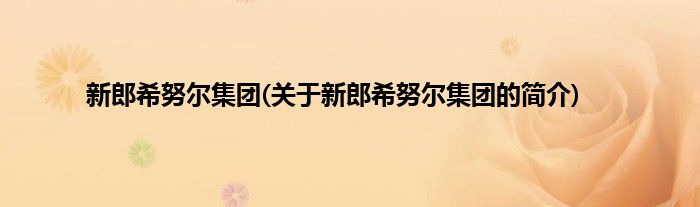 新郎希努尔集团(关于新郎希努尔集团的简介)