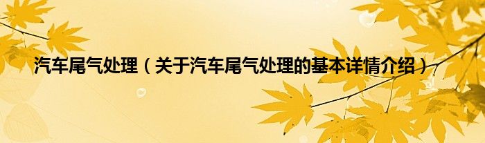 汽车尾气处理（关于汽车尾气处理的基本详情介绍）