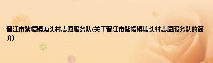 晋江市紫帽镇塘头村志愿服务队(关于晋江市紫帽镇塘头村志愿服务队的简介)