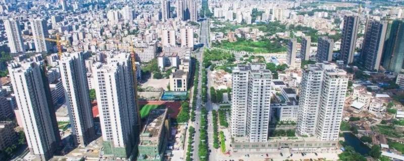 茂名市有没有黎光村委会