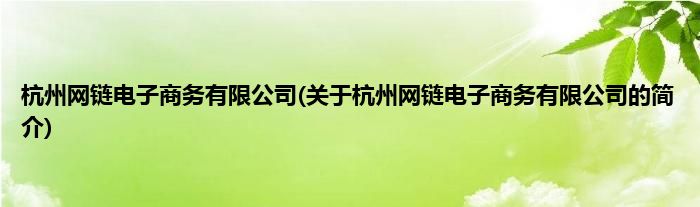 杭州网链电子商务有限公司(关于杭州网链电子商务有限公司的简介)