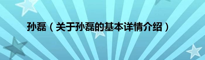 孙磊(关于孙磊的基本详情介绍)