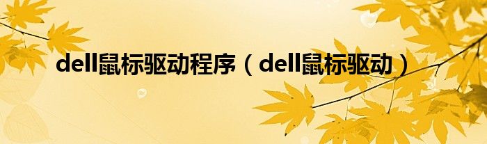 dell鼠标驱动程序（dell鼠标驱动）