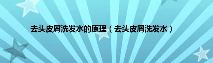 去头皮屑洗发水的原理（去头皮屑洗发水）