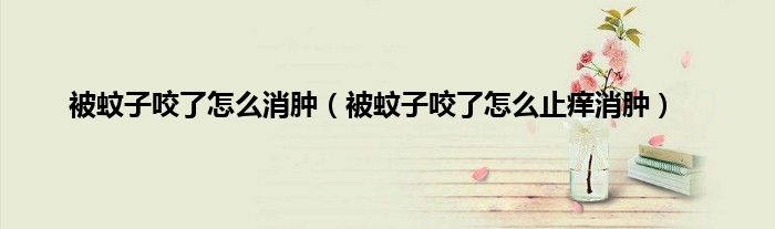 被蚊子咬了怎么消肿（被蚊子咬了怎么止痒消肿）