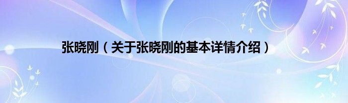 张晓刚（关于张晓刚的基本详情介绍）