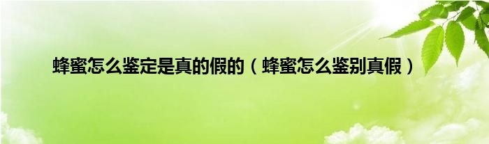 蜂蜜怎么鉴定是真的假的(蜂蜜怎么鉴别真假)
