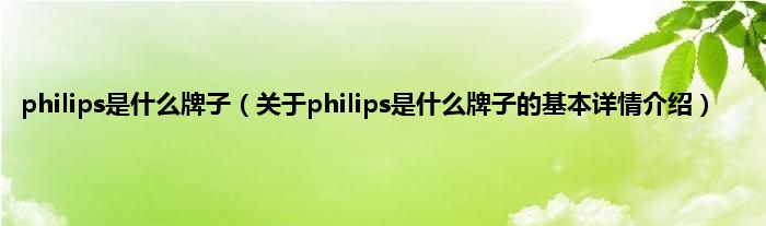philips是什么牌子（关于philips是什么牌子的基本详情介绍）