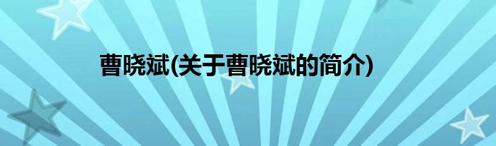 曹晓斌(关于曹晓斌的简介)