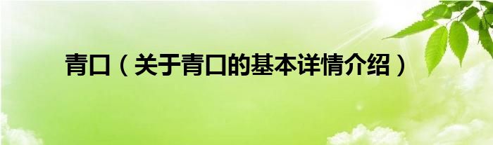 青口(关于青口的基本详情介绍)