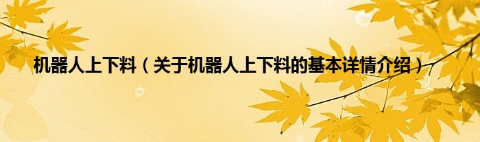 机器人上下料（关于机器人上下料的基本详情介绍）