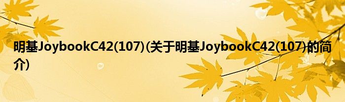 明基JoybookC42(107)(关于明基JoybookC42(107)的简介)