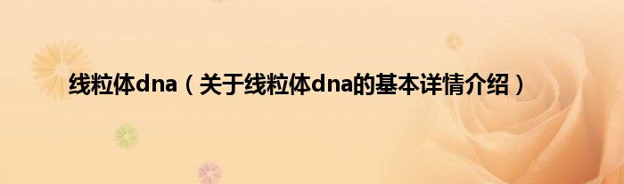 线粒体dna(关于线粒体dna的基本详情介绍)
