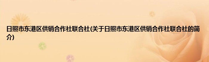 日照市东港区供销合作社联合社(关于日照市东港区供销合作社联合社的简介)